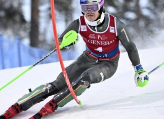 COB anuncia os 14 convocados para a Olimpíada de Inverno Milão-Cortina COB anuncia os 14 convocados para a Olimpíada de Inverno Milão-Cortina