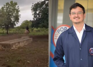 Veterinário Explica Reação De Cavalo Que Impediu Dono De Ser Atingido Por Raio No Oeste Da Bahia