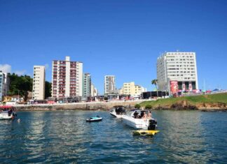 Mergulho Em Salvador Revela Naufrágios, Recifes E Rica Vida Marinha A Poucos Metros Da Costa