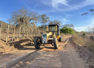 Trabalho que transforma: Prefeitura recupera mais de 760 km de estradas vicinais