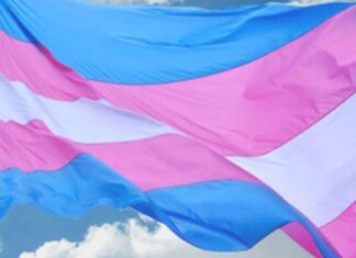Viva Maria dá voz ao ativismo trans no 29 de janeiro Viva Maria dá voz ao ativismo trans no 29 de janeiro