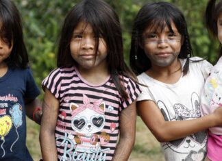 Ministério aperfeiçoa monitoramento de saúde de crianças indígenas