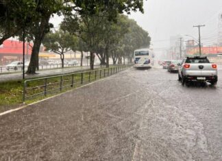 Feira De Santana Cria Linha Direta Para Emergências Em Período De Chuva
