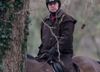 Irmão do Rei Charles III é preso pela polícia britânica Irmão do Rei Charles III é preso pela polícia britânica