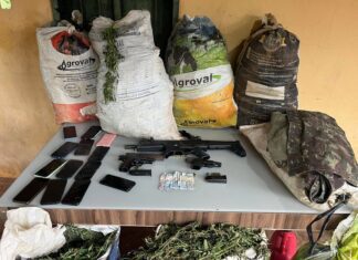 Operação Apreende 3 Toneladas De Maconha E Destrói 200 Mil Pés No Interior Da Bahia