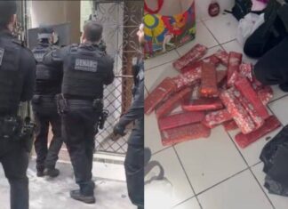 Suspeito Foragido é Localizado Com 30 Quilos De Maconha Na Boca Do Rio