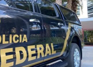 Justiça Concede Liberdade A Cinco Indígenas Presos Após Operação No Extremo Sul Da Bahia