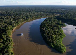 Fundo Amazônia vai liberar R$ 53 milhões para regularizar terras no MA Fundo Amazônia vai liberar R$ 53 milhões para regularizar terras no MA