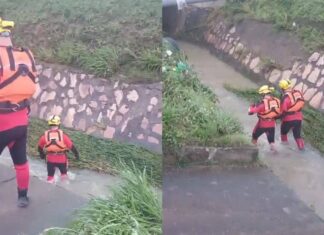 Bombeiros Realizam Buscas Por Passageira Arrastada Por Enxurrada Na Bahia