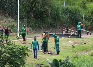 Prefeitura De Salvador Inicia Plantio De Mudas No Mané Dendê Durante Período Chuvoso