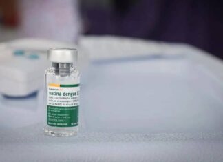 Salvador Inicia Vacinação Contra Dengue; Confira O Público-alvo