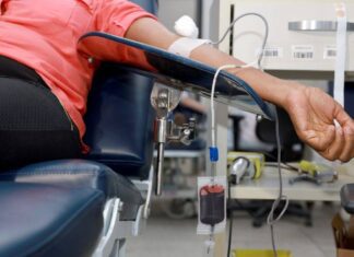 Hemoba Abre No Feriado E Faz Apelo Por Doação De Sangue Em Salvador