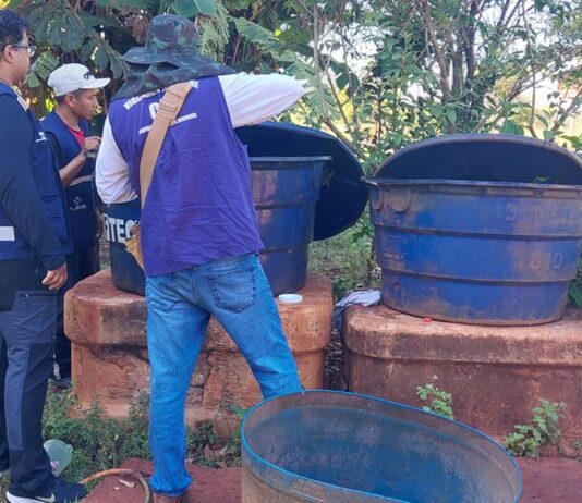 Chikungunya: ministro classifica de crítica situação em Dourados
