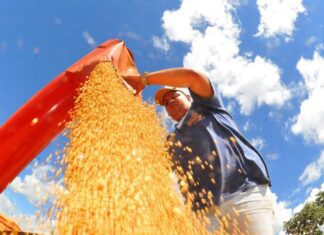 Atividade econômica brasileira cresce 0,6% em fevereiro