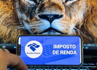 Receita abre consulta a lote da malha fina do Imposto de Renda