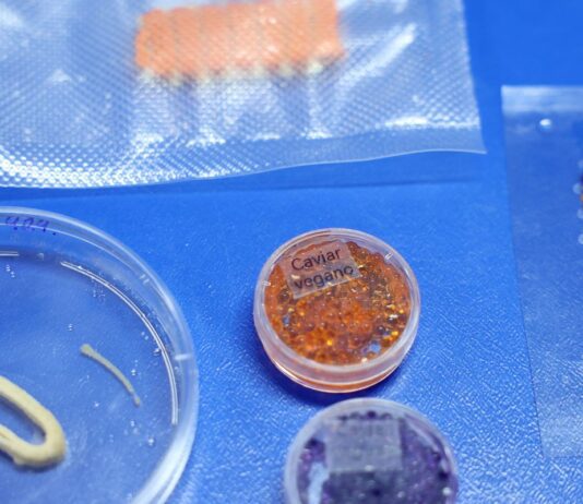 Embrapa produz em laboratório salmão, caviar e anéis de lula veganos