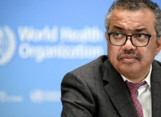 OMS descarta indícios de “surto maior” de hantavírus