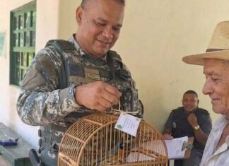 Campanha No Parque Da Cidade Incentiva Devolução Legal De Animais Silvestres