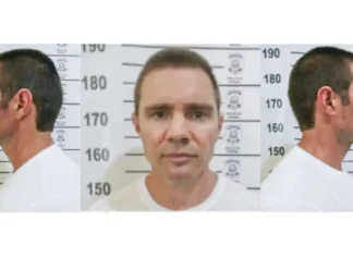 Interpol Pode Incluir Daniel Vorcaro Em Lista Internacional Para Rastreamento De Patrimônio Interpol Pode Incluir Daniel Vorcaro Em Lista Internacional Para Rastreamento De Patrimônio