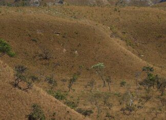 MapBiomas: fragmentação de áreas naturais triplicou em 40 anos no país MapBiomas: fragmentação de áreas naturais triplicou em 40 anos no país