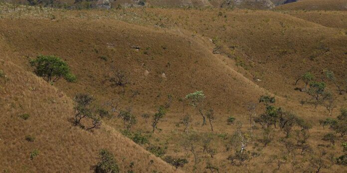 MapBiomas: fragmentação de áreas naturais triplicou em 40 anos no país