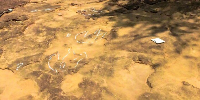 Pegada de dinossauro de grandes proporções é encontrada na Paraíba Pegada de dinossauro de grandes proporções é encontrada na Paraíba