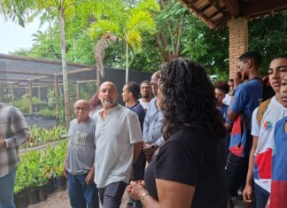 Ilha De Itaparica Passa A Produzir Mudas De Mangue Para Recuperação Ambiental