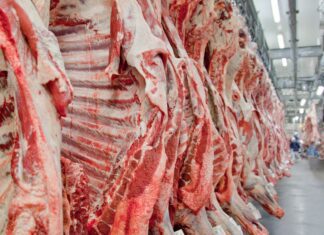 Governo promete reverter veto da UE a carnes e animais brasileiros