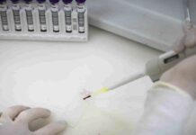 Paciente em SP com suspeita de ebola testa positivo para meningite