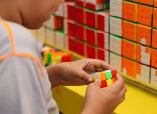 Começa primeira etapa do Censo da Educação Básica 2026