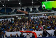 Brasil garante seleções da ginástica artística no Mundial da Holanda Brasil garante seleções da ginástica artística no Mundial da Holanda