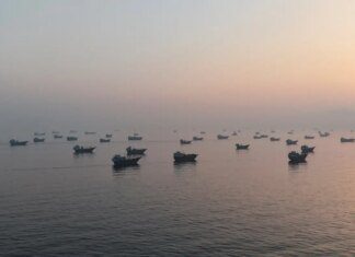 Estreito de Ormuz terá gestão definida por Irã, Omã e países do Golfo Estreito de Ormuz terá gestão definida por Irã, Omã e países do Golfo