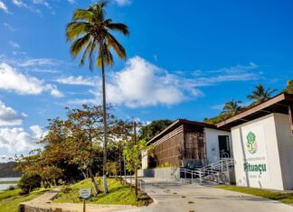 Governo Da Bahia Entrega Primeira Etapa Da Requalificação Do Parque De Pituaçu