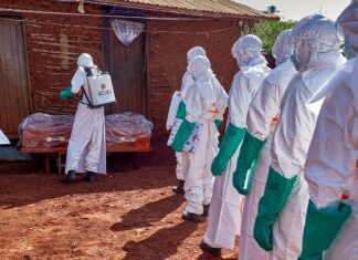 Guerras no Congo e menor cooperação em saúde favorecem surto do ebola Guerras no Congo e menor cooperação em saúde favorecem surto do ebola