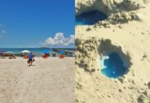 Inema Aplica R$ 50 Milhões Em Multas Por Contaminação Na Praia De São Tomé De Paripe