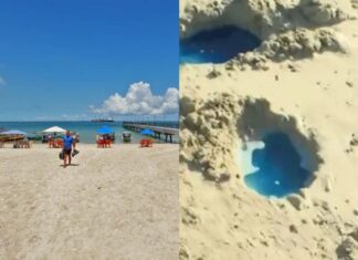 Inema Aplica R$ 50 Milhões Em Multas Por Contaminação Na Praia De São Tomé De Paripe