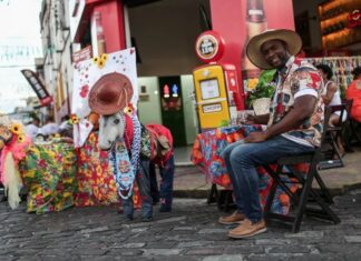 Tradicional Carroçada Da Saúde Integra Programação Oficial Do São João De Salvador