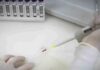 Exames descartam ebola em imigrante da República Democrática do Congo