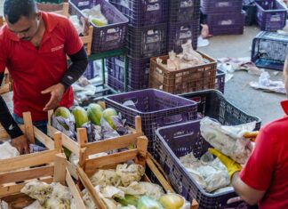 Governo anuncia crédito de R$ 97,3 bi para agricultores familiares