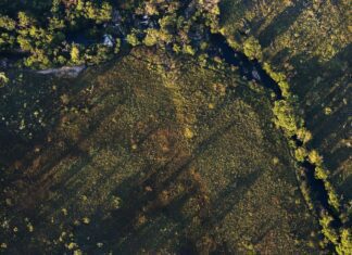 Financiamentos a projetos rurais sustentáveis terão juros mais baixos
