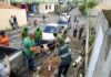 Quer Uma árvore Na Calçada De Casa? Saiba Como Solicitar O Plantio Gratuito