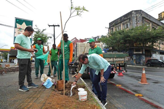 23_07_2026_Plantio-Avenida-jequitaia_Fot-Bruno-Concha_Secom_Pms-4-1024x683.jpg