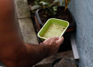 El Niño Pode Elevar Casos De Dengue No Brasil, Alerta Ministério Da Saúde El Niño Pode Elevar Casos De Dengue No Brasil, Alerta Ministério Da Saúde