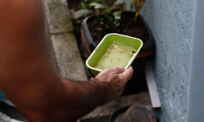 El Niño Pode Elevar Casos De Dengue No Brasil, Alerta Ministério Da Saúde