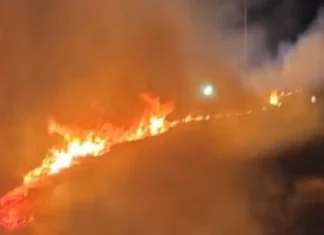 Fogos Usados Em Chá Revelação Provocam Incêndio Em Rancho Na Bahia