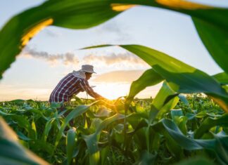 MP de dívida rural foca em perdas climáticas, diz Durigan