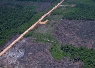 Eco Invest Brasil promove quinto leilão para financiar inovação