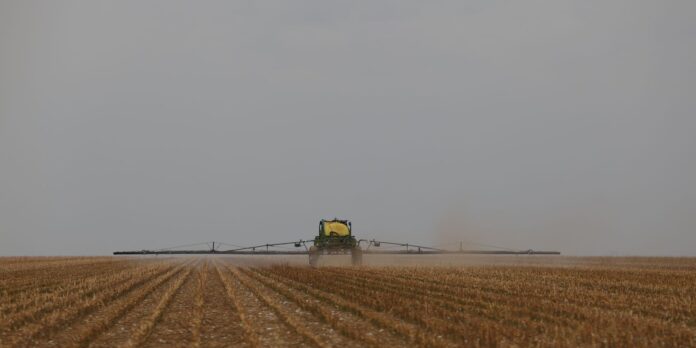 d6a9557_0.jpg