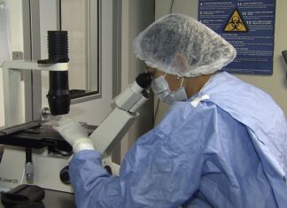 Como cientistas “curaram” pacientes infectados com HIV