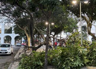 Vendaval ainda causa danos a moradores do Rio de Janeiro
